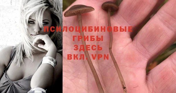 марки nbome Нефтекумск