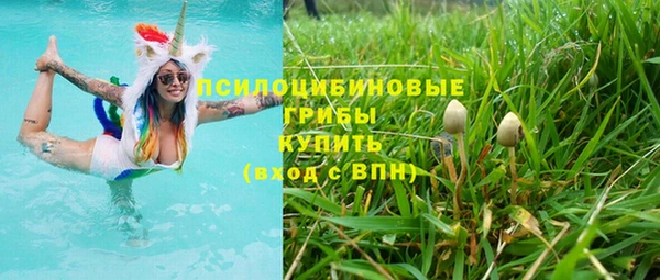 ГАЛЛЮЦИНОГЕННЫЕ ГРИБЫ Нея