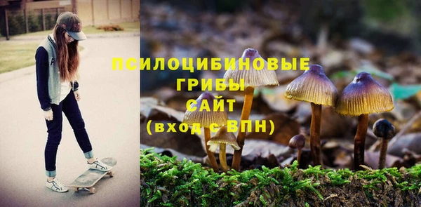 ГАЛЛЮЦИНОГЕННЫЕ ГРИБЫ Нея