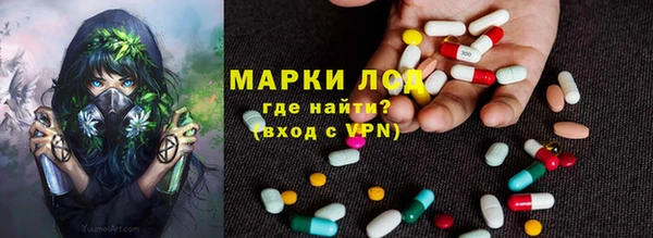 ГАЛЛЮЦИНОГЕННЫЕ ГРИБЫ Нея