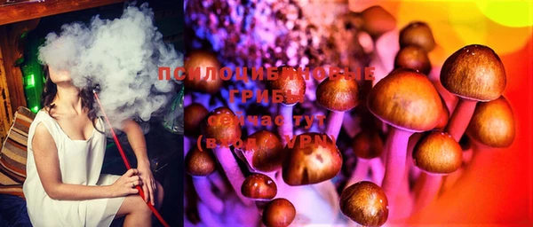 марки nbome Нефтекумск