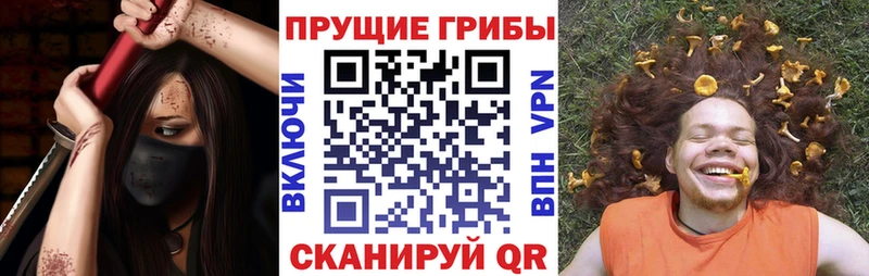 Псилоцибиновые грибы Psilocybe  Купить  Осташков 